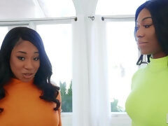Noire, Sucer une bite, Brunette brune, En levrette, Branlette thaïlandaise, Interracial, Pov, Plan cul à trois