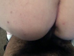 Leie, Besamung, Pov