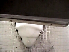 Piss pouring out of hot pussy on toilet voyeur scenes