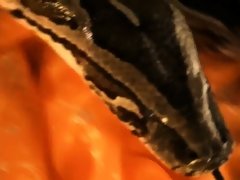 Asiático, Hd, Indio, Madres para coger, Sexo soft, Solo