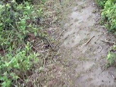 Amateur, Sucer une bite, Hard, Voyeur