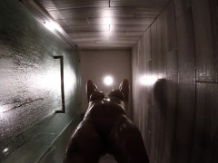 Жопа, Хд, Душ, Соло