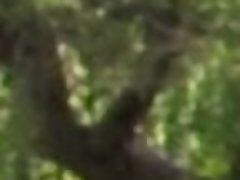 Amateur, Mamada, Estilo perrito, Pajear, Masturbación, Al aire libre, Pov, Nalgadas