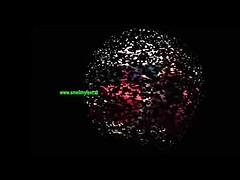 Allemand, Hd, Léchez, Réalité, Esclave, Suçant, Adolescente, Plan cul à trois