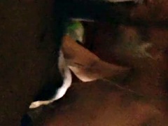 Leie, Grosser schwanz, Schwarz, Schwarz, Hardcore, Transfrau, Schlampe, Ablutschen