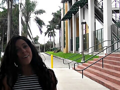 Pijpbeurt, Bruinharig, Hondjeshouding, Handbeurt, Buiten, Gezichtspunt, Kut duiken, Tatoeage