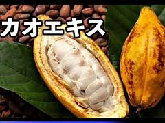素人, アジア人, デカパイ, フェラチオ, 中出し, 日本人, ティーン, オッパイの