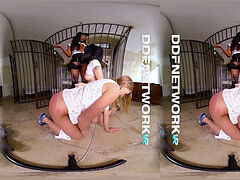 Brits, Bruinharig, Zwart, Klein, Realiteit, Trio