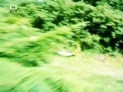 Amateur, Morena, Europeo, Francés