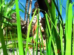 3d, デカパイ, 黒人, ブロンド, 中出し, Hd, 怪物, 剃毛