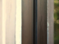 Bruinharig, Vingeren, Hd, Lesbisch