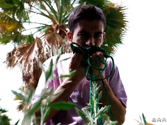 Arsch, Grosser schwanz, Blasen, Hardcore, Milf, Muschi, Titten, Nass