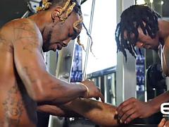 Negro, Ébano, Gay, Gimnasio, Hd, Tatuaje, Trio
