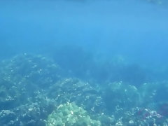 素人, ビーチ, ビキニ, 露出狂, 彼女, オーガズム, 小柄, オッパイの