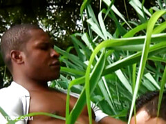 Negro, Pareja, Corridas, Polla, Gay, Al aire libre