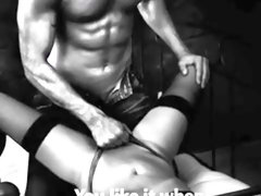 Bisexual, Cornudo, Corridas, Tren