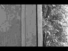 Blondine, Blasen, Vollbusig, Paar, Spermaladung, Hardcore, Natürlichen titten, Titten