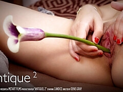 Clito, Femelle, Hd, Orgasme, Chatte, Solo, Adolescente, Mouillée