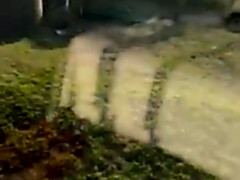 デカ尻, デカパイ, フェラチオ, 茶髪の, チン, ハードコア, Hd, 淫乱熟女