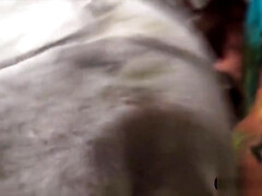 素人, お尻, フェラチオ, 巨乳な, カワイイ, Hd, 乳首, オマンコ