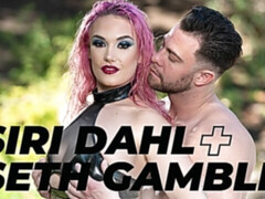 Grote kont, Grote lul, Pijpbeurt, Laarzen, Hondjeshouding, Handbeurt, Kut duiken, Kousen