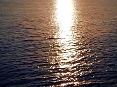 Culo grande, Morena, Clásico, Linda, Garganta profunda, Ébano, Natural, Tatuaje