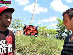 Любители, Черные, Черненькие, Геи, Порнозвезда, На публике, Тату