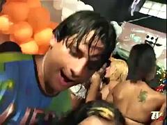 Tussi, Grosser schwanz, Orgie