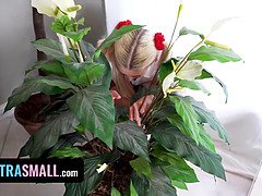 Минет, Толстые, Гибкие, Крошечные, От первого лица, Тощие, Табу, Учитель