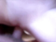 Anaal, Pijpbeurt, Bruinharig, Hardcore, Ondergoed, Russisch, Kousen, Trio