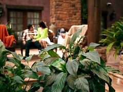 I NEED YOUR HELP! I Cum TOO MUCH! - Cubbi Thompson - Cubbi thompson