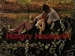 Dänisch, Deutsch, Hausfrau, Vintage