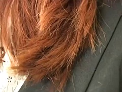 Fétiche, Solo