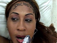 black secretary cumbrush and swallow