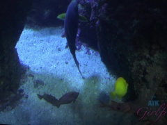 Любители, Блондинки, Подружка, Голышом, На природе, От первого лица, На публике, Тощие