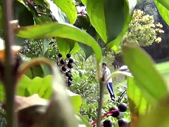 Guys caught pissing (part 2)