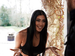 Grote kont, Bruinharig, Pornster, Trio