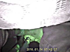 Amateur, Chica, Universidad