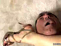 デカチン, 黒人, フェラチオ, 浮気する, 開帳