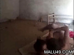 Bruinharig, Hardcore, Hd, Indisch