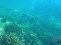 Amateur, Bikini, Mamada, Morena, Penetracion con dedos, Al aire libre, Pov, Coño