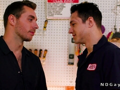 Blasen, Braunhaarige, Schwul, Handjob, Hd, Wichsen, Ablutschen, Tätowierung