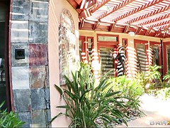 アジア人, ビキニ, 茶髪の, なめる, アウトドア, ソフトコア, 一人, オッパイの