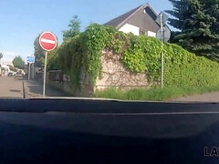 Bruinharig, Mollig, Hondjeshouding, Europees, Hd, Ruw, Zoon, Tiener