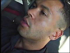 Damn in the car