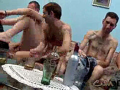 Brutaal, Homo, Hardcore