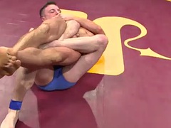 Verga grande, Corridas, Holandés, Gay, Sexo duro