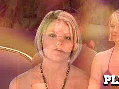 Wag, scenario, swinger