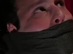 Anal, Sadomasoquismo, Holandés, Penetracion con dedos, Madres para coger, Strapon