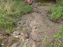 Геи